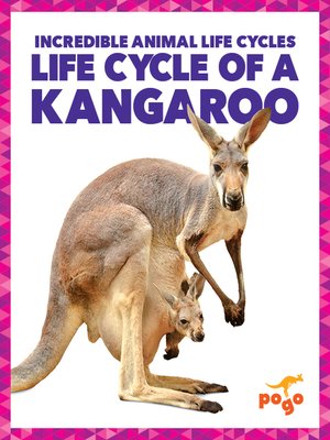 cover image of Life Cycle of a Kangaroo